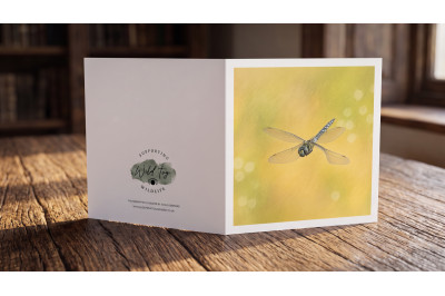 Dragonfly Greeting Card